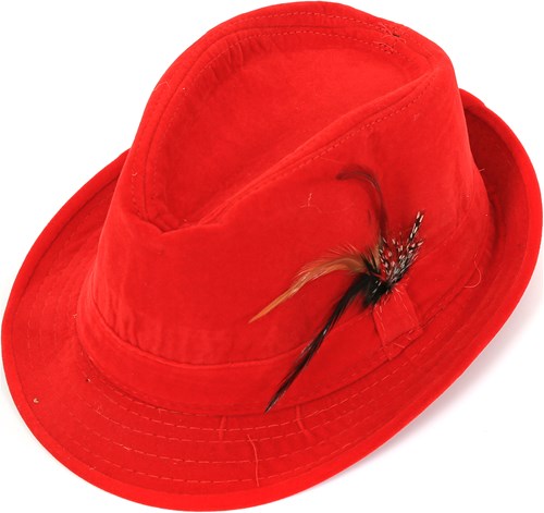 Rood met Veertje Tiroler Hoed (velours)