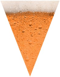 Bier Vlaggenlijn - 10m