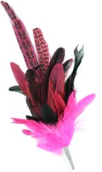Tiroler Hoedenspeld Verenpluim Pink (30cm)